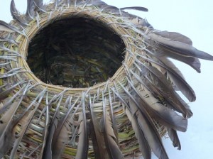 grass and mistle thrush basket