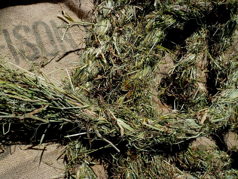 hay rope, grass baskets, foraged grass