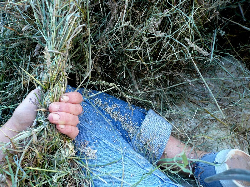 grass baskets, foraged grass, hay rope