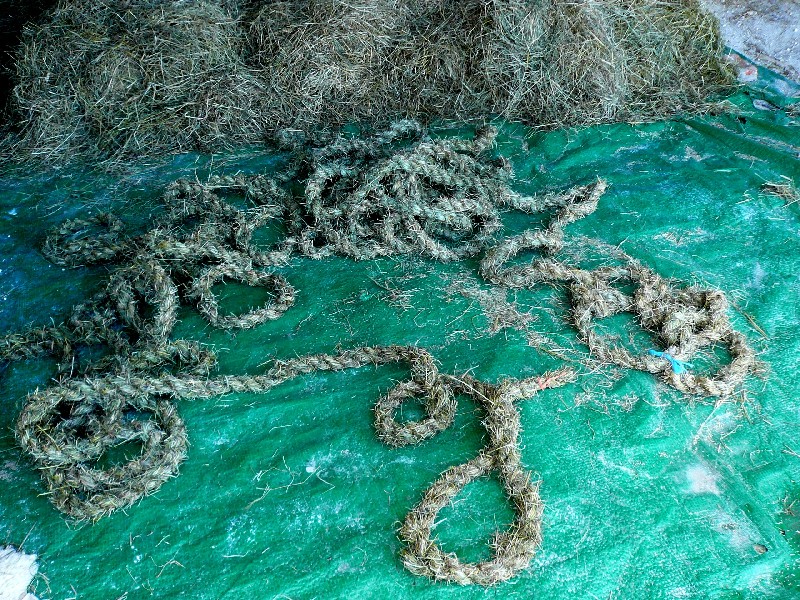 hay rope, grass baskets, foraged grass