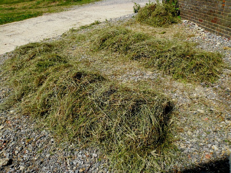 Meadow Weave: Wakehurst Residency, 2014 (6)