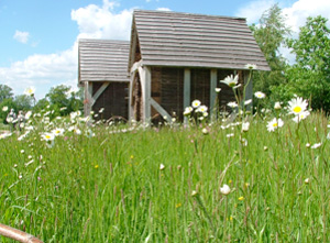 Meadow Folk exhibition Wakehurst Place 2014