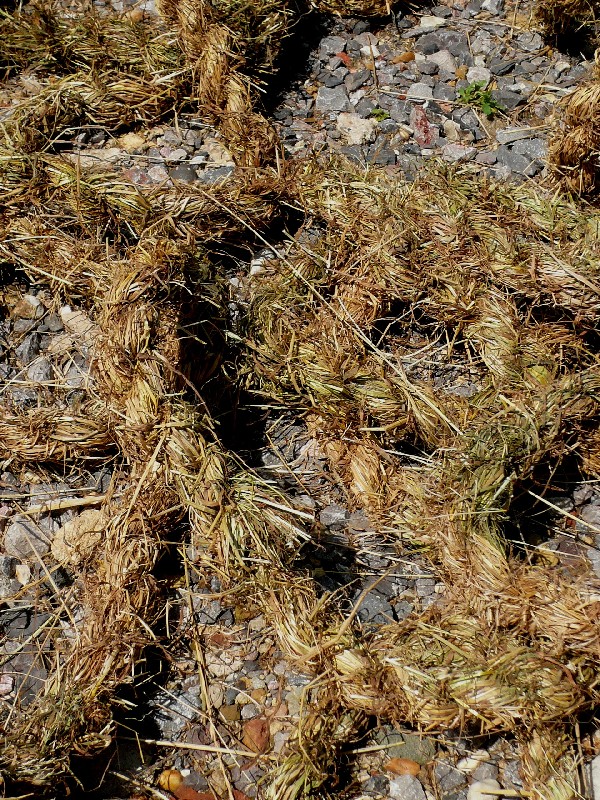 hay rope at Wakehurst