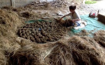 Meadow Weave: Wakehurst Residency, 2014 (9)