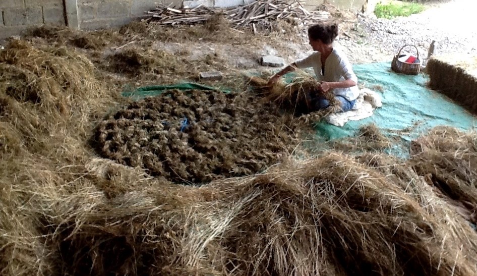 Meadow Weave: Wakehurst Residency, 2014 (9)