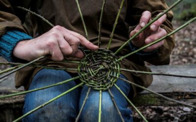 Threading Thorns