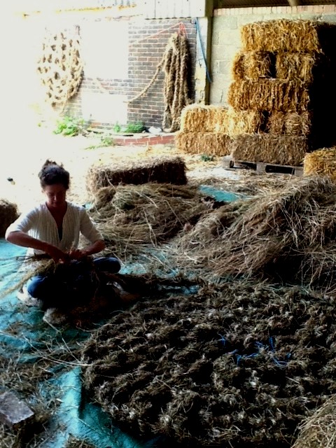 wild clay processing