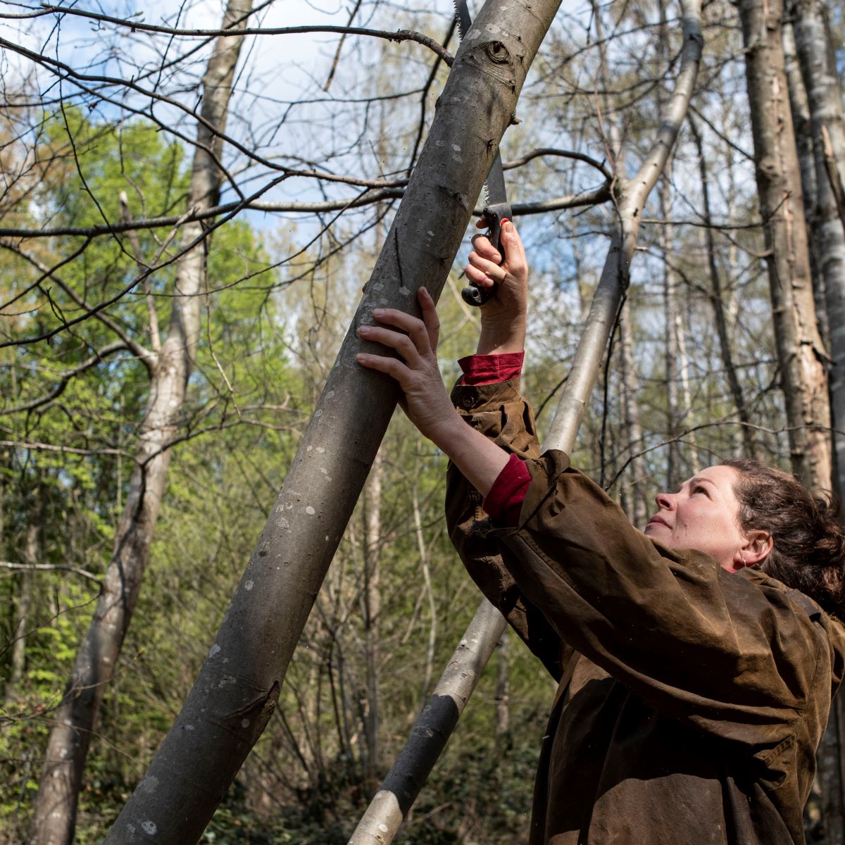 processing willow bark